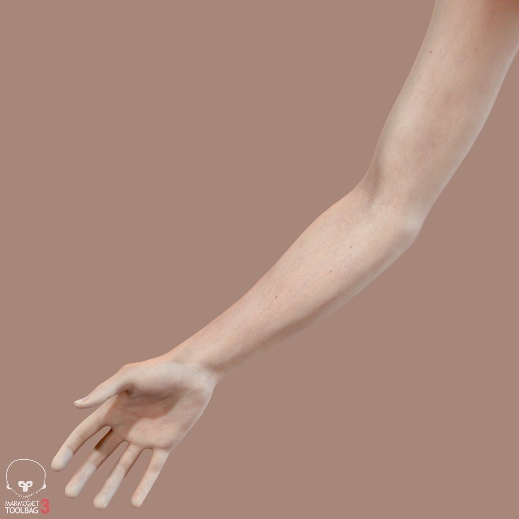 First Person Arms 3D Model – Low Poly Game-Ready Asset, FBX, OBJ - View 36