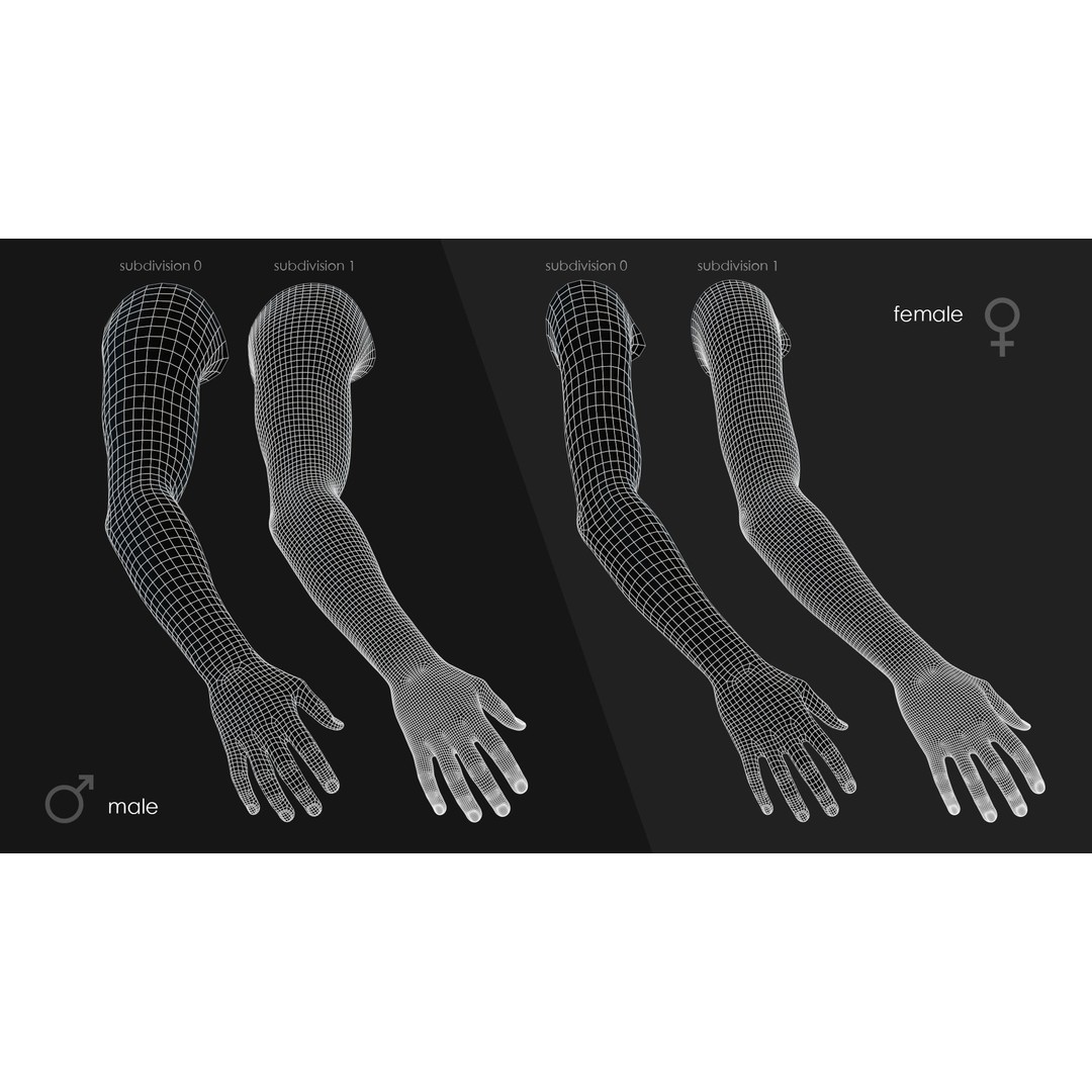 First Person Arms 3D Model – Low Poly Game-Ready Asset, FBX, OBJ - View 37