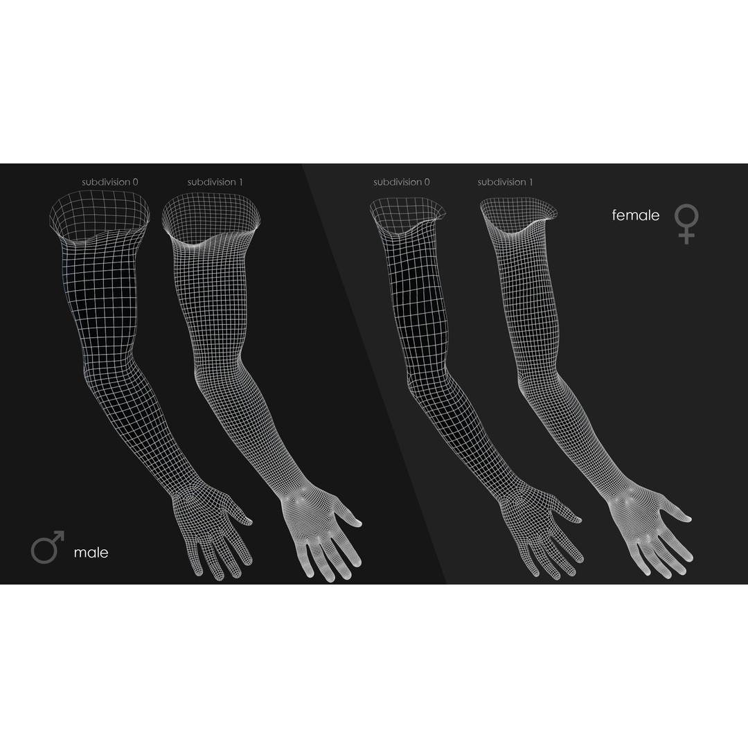 First Person Arms 3D Model – Low Poly Game-Ready Asset, FBX, OBJ - View 38