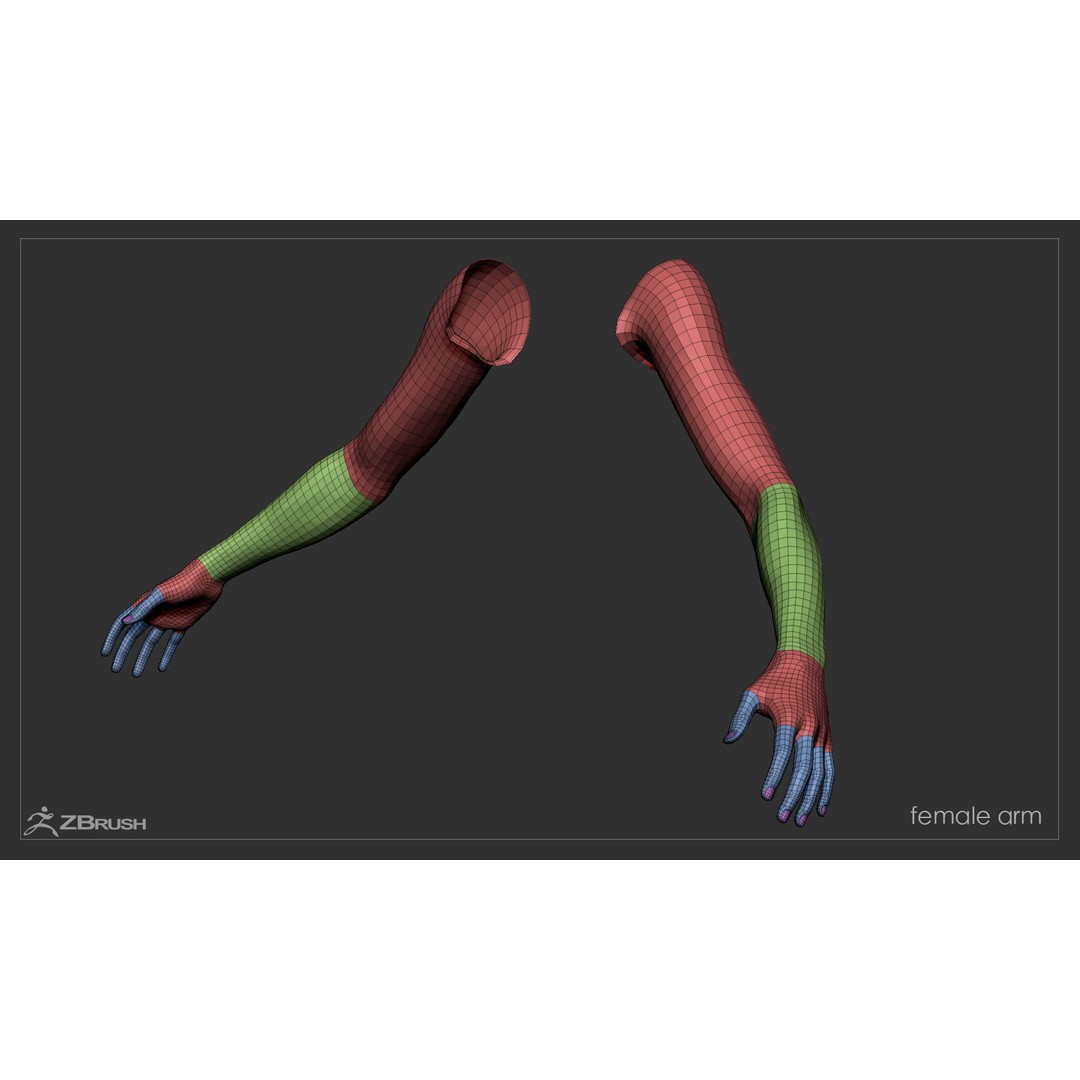 First Person Arms 3D Model – Low Poly Game-Ready Asset, FBX, OBJ - View 39