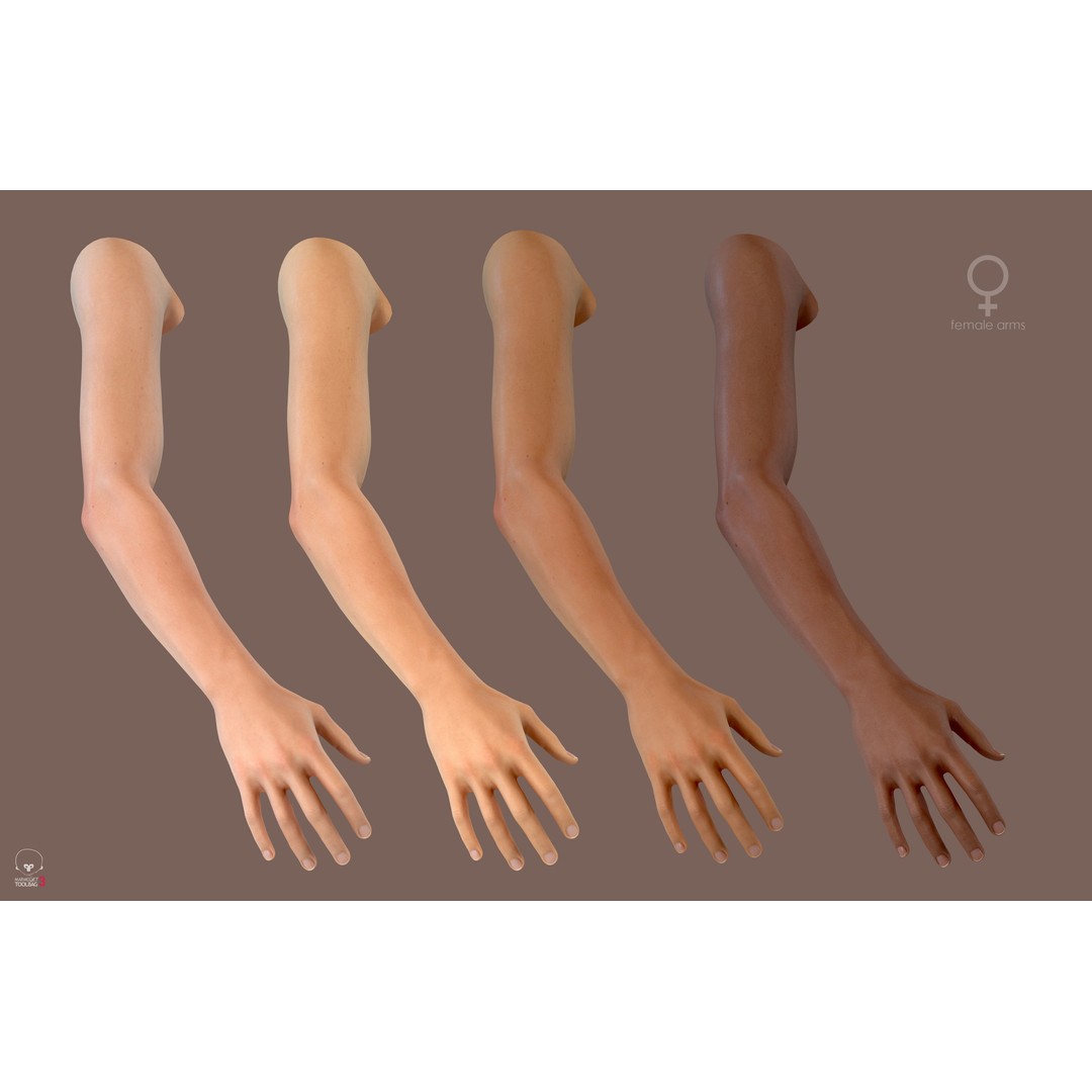 First Person Arms 3D Model – Low Poly Game-Ready Asset, FBX, OBJ - View 4