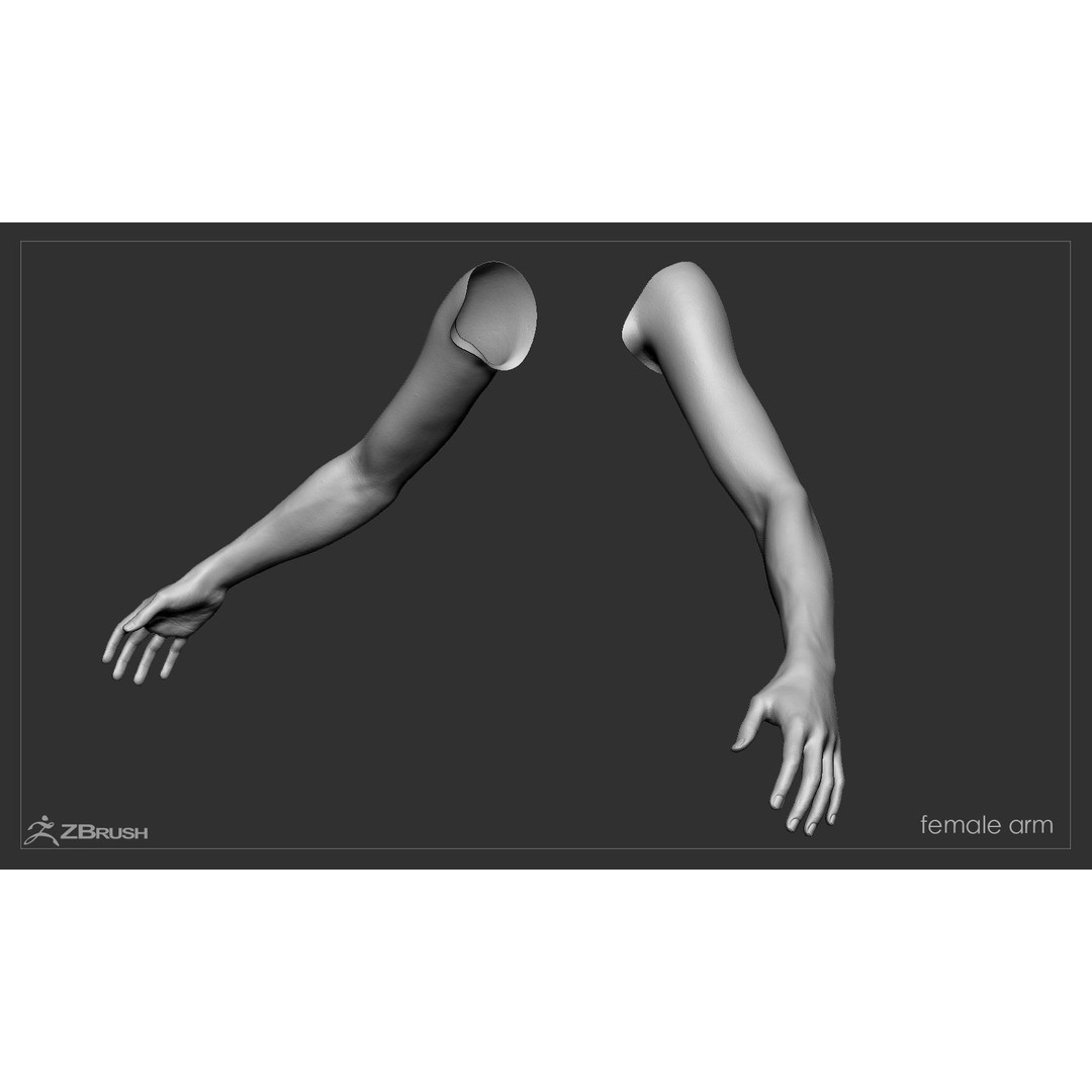 First Person Arms 3D Model – Low Poly Game-Ready Asset, FBX, OBJ - View 40