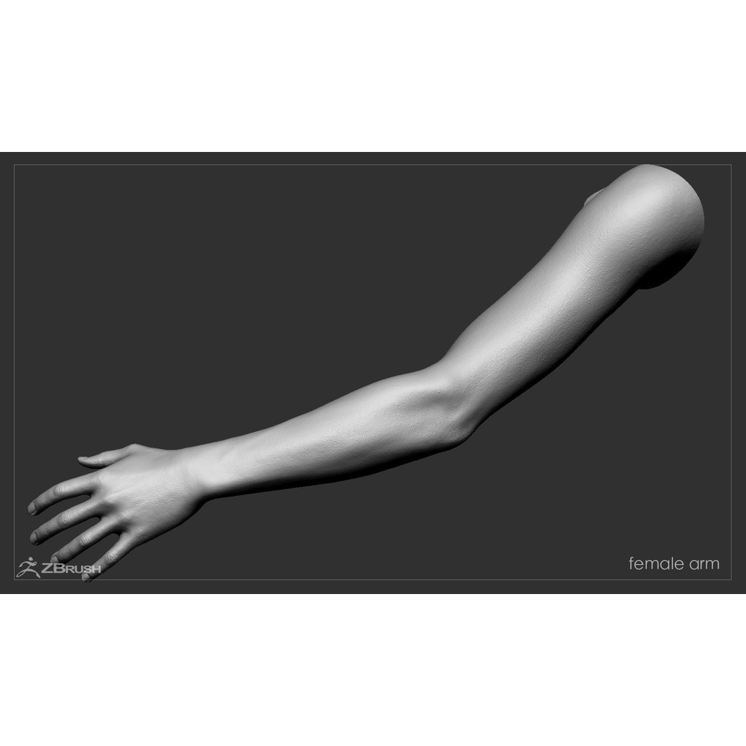 First Person Arms 3D Model – Low Poly Game-Ready Asset, FBX, OBJ - View 41