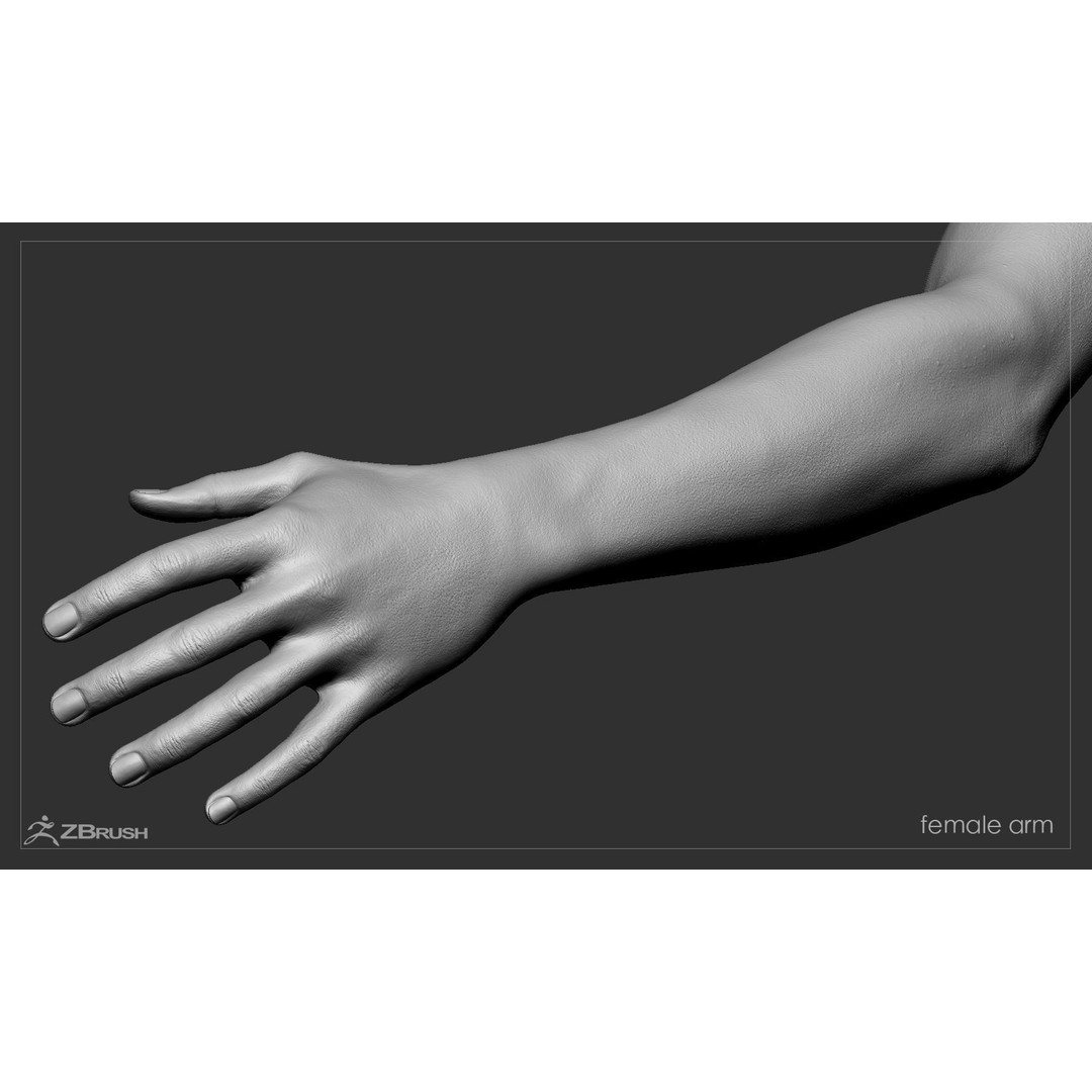 First Person Arms 3D Model – Low Poly Game-Ready Asset, FBX, OBJ - View 42