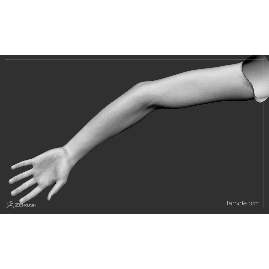 First Person Arms 3D Model – Low Poly Game-Ready Asset, FBX, OBJ - View 43