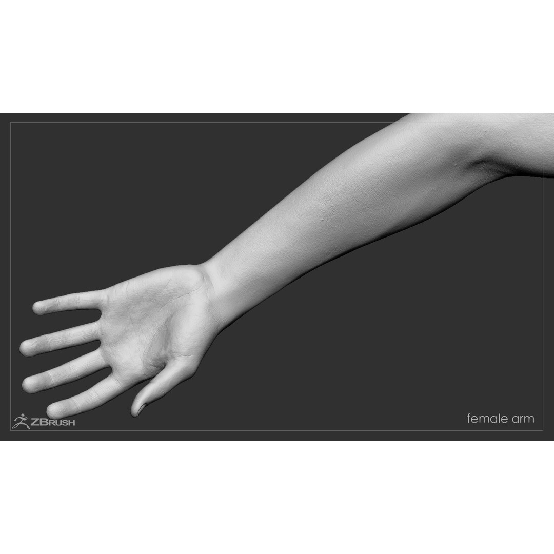 First Person Arms 3D Model – Low Poly Game-Ready Asset, FBX, OBJ - View 44