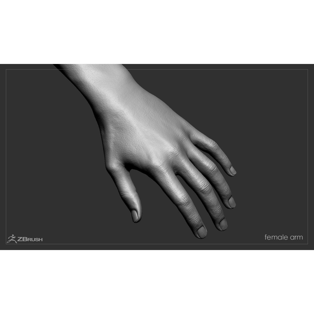 First Person Arms 3D Model – Low Poly Game-Ready Asset, FBX, OBJ - View 45