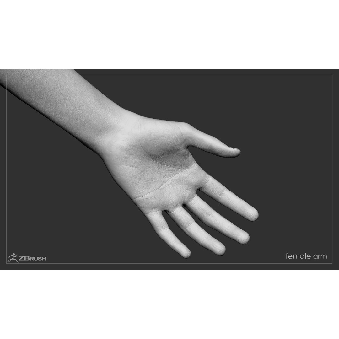 First Person Arms 3D Model – Low Poly Game-Ready Asset, FBX, OBJ - View 46