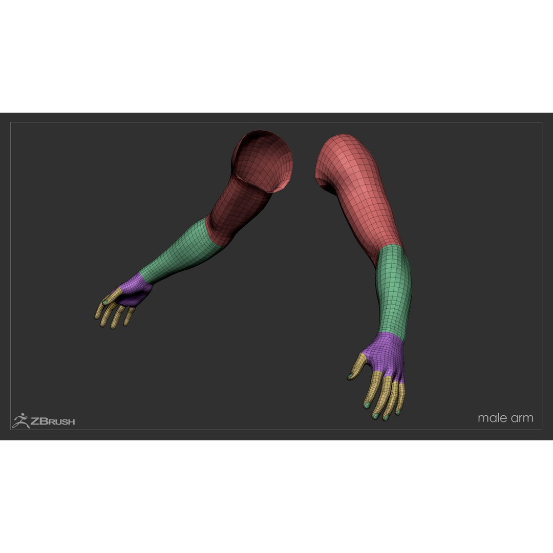 First Person Arms 3D Model – Low Poly Game-Ready Asset, FBX, OBJ - View 47