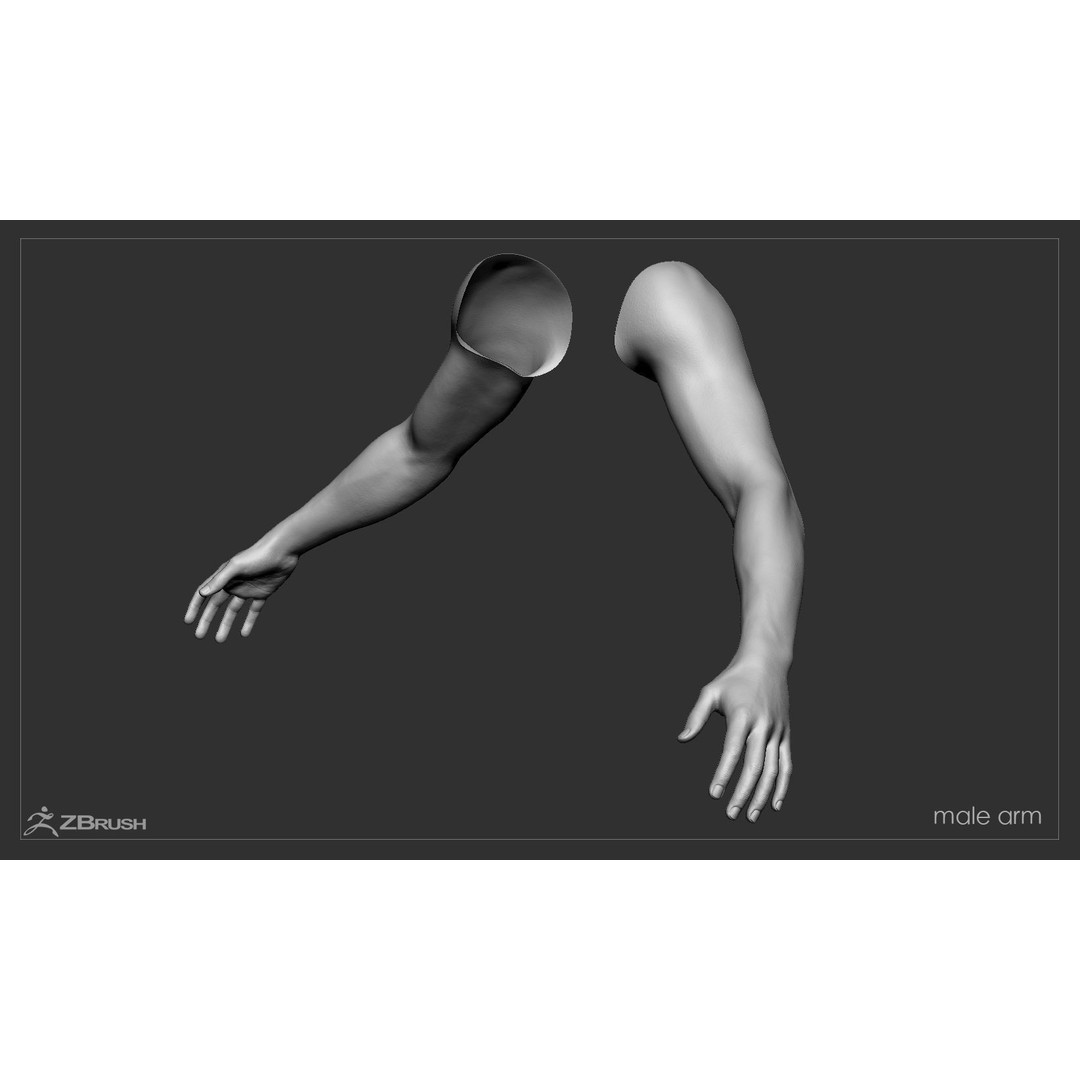 First Person Arms 3D Model – Low Poly Game-Ready Asset, FBX, OBJ - View 48