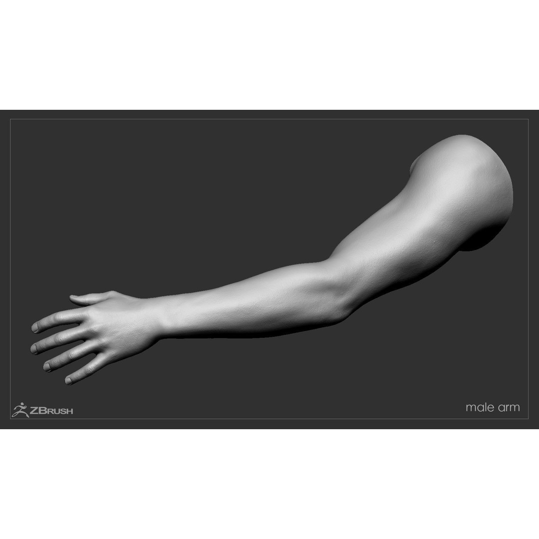 First Person Arms 3D Model – Low Poly Game-Ready Asset, FBX, OBJ - View 49