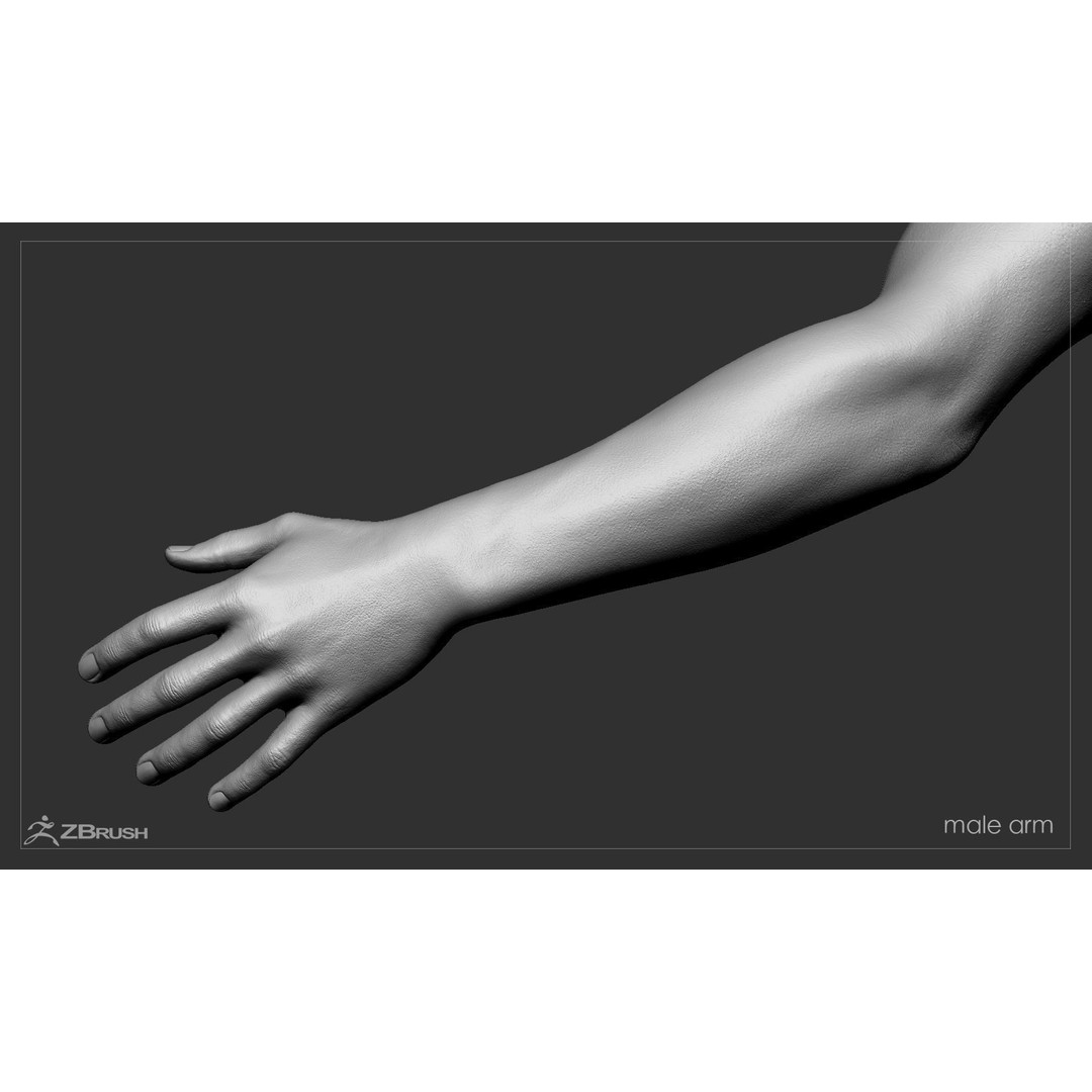 First Person Arms 3D Model – Low Poly Game-Ready Asset, FBX, OBJ - View 50