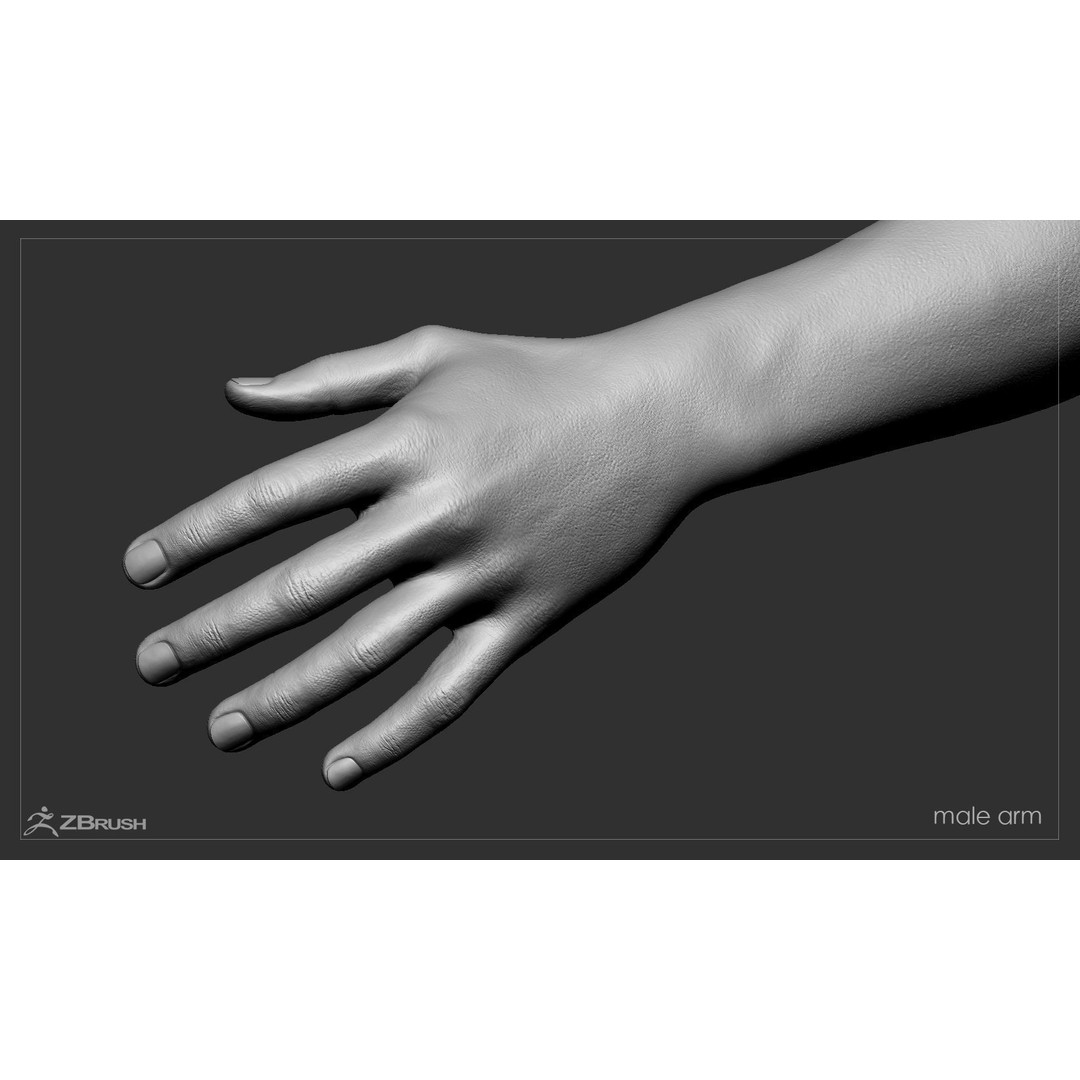 First Person Arms 3D Model – Low Poly Game-Ready Asset, FBX, OBJ - View 51