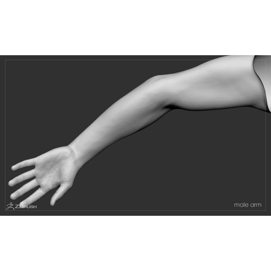 First Person Arms 3D Model – Low Poly Game-Ready Asset, FBX, OBJ - View 52