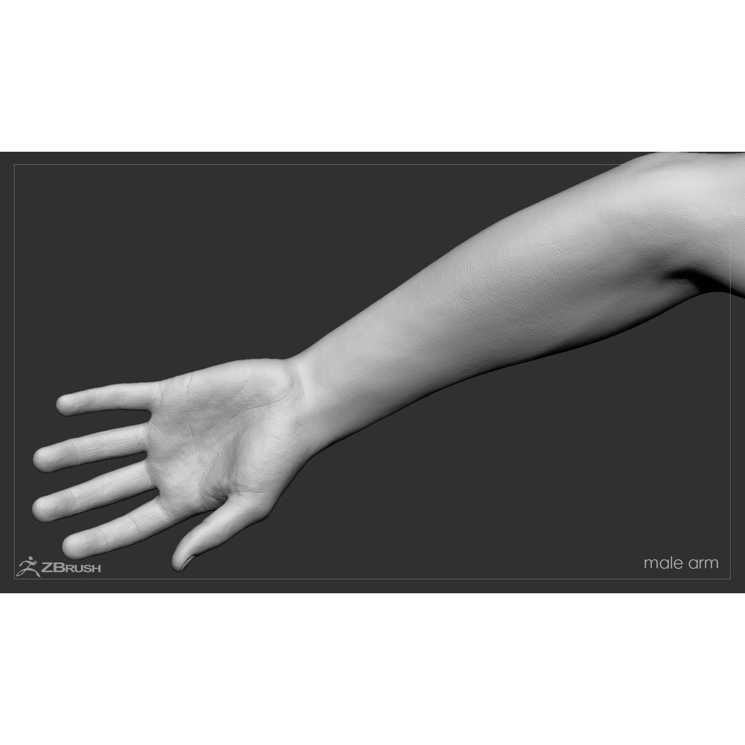 First Person Arms 3D Model – Low Poly Game-Ready Asset, FBX, OBJ - View 53