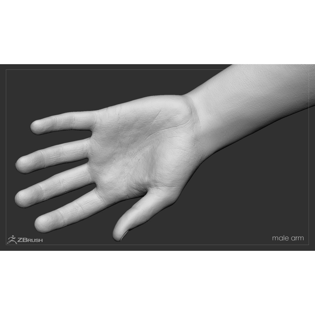 First Person Arms 3D Model – Low Poly Game-Ready Asset, FBX, OBJ - View 54