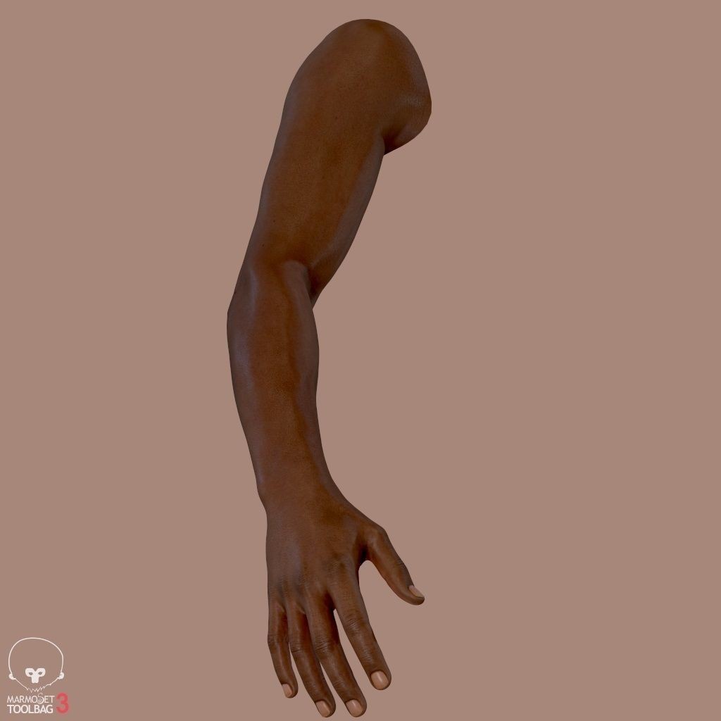 First Person Arms 3D Model – Low Poly Game-Ready Asset, FBX, OBJ - View 6