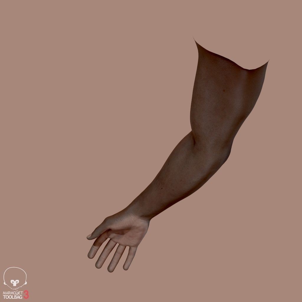 First Person Arms 3D Model – Low Poly Game-Ready Asset, FBX, OBJ - View 9