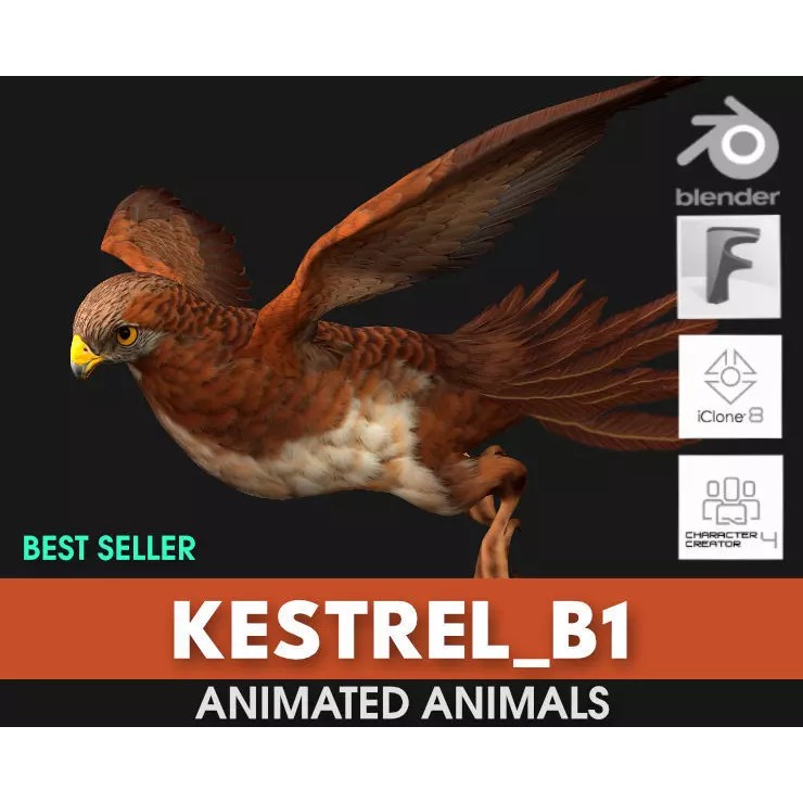 Kestrel B1 - Game-Ready 3D Model - View 2