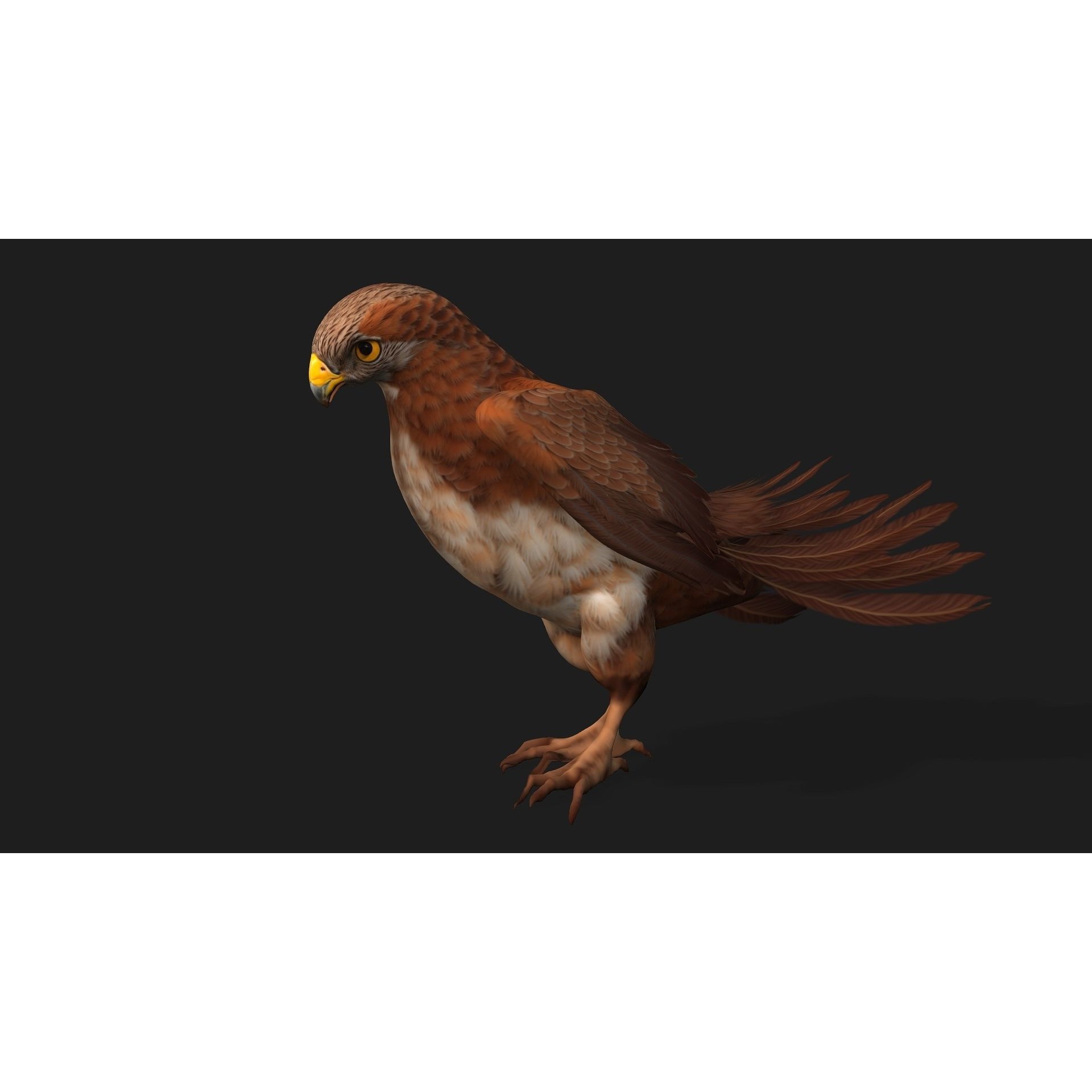 Kestrel B1 - Game-Ready 3D Model - View 3