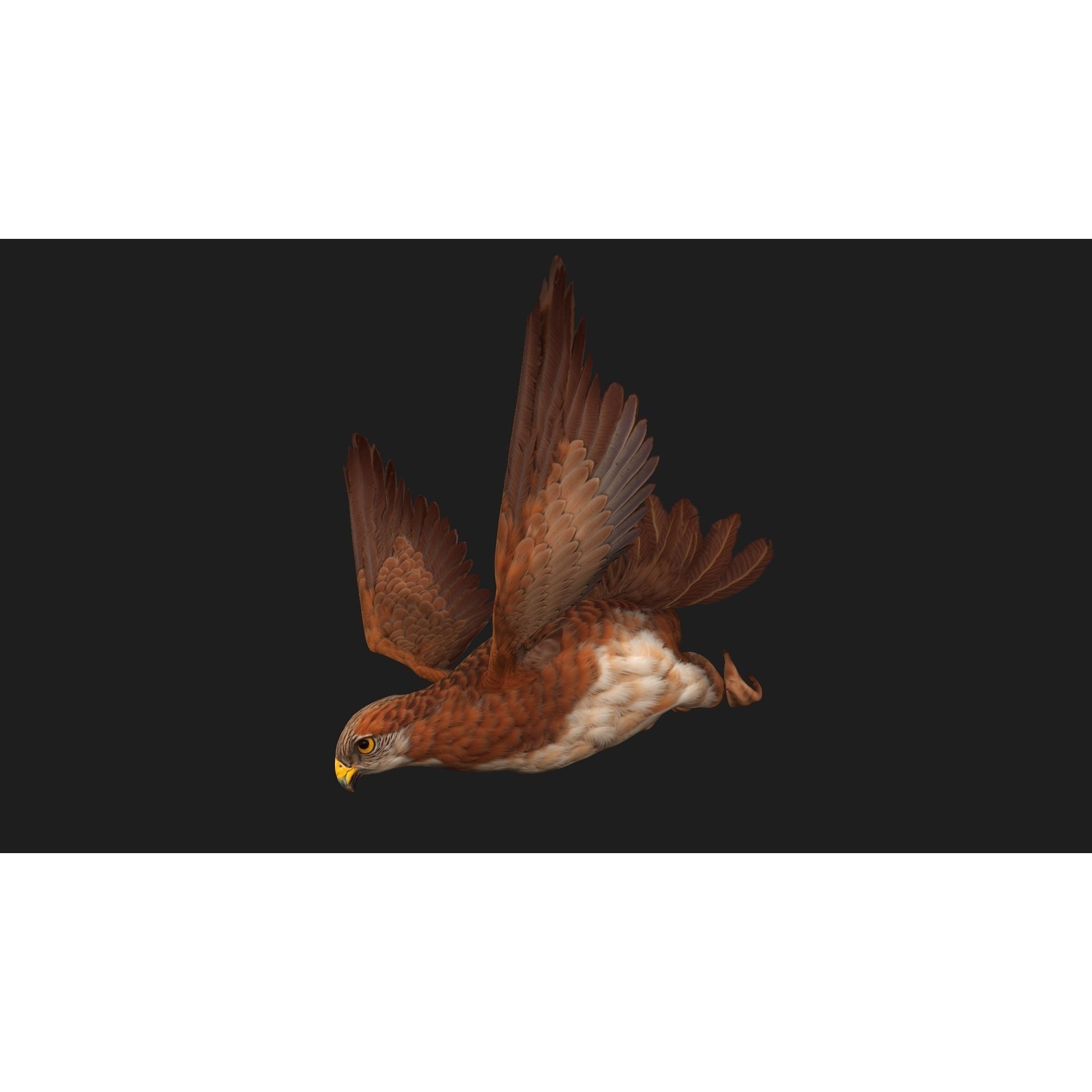 Kestrel B1 - Game-Ready 3D Model - View 6