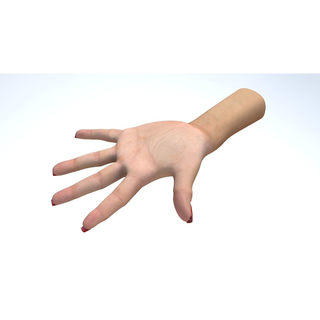 Female Left Hand 3D Model – Low Poly Character Asset, FBX - View 10