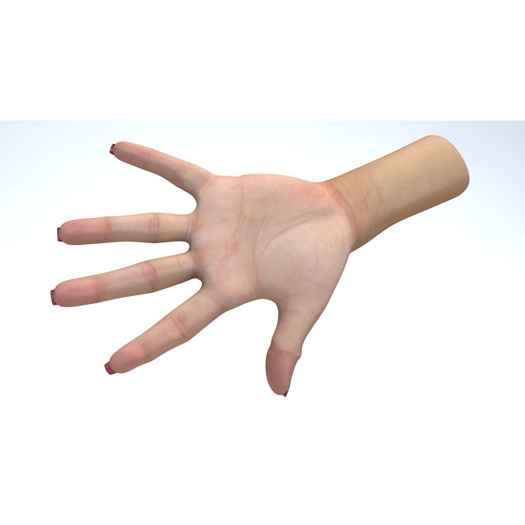 Female Left Hand 3D Model – Low Poly Character Asset, FBX - View 13