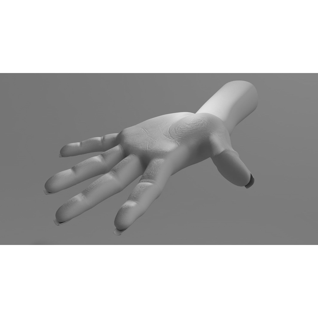 Female Left Hand 3D Model – Low Poly Character Asset, FBX - View 14