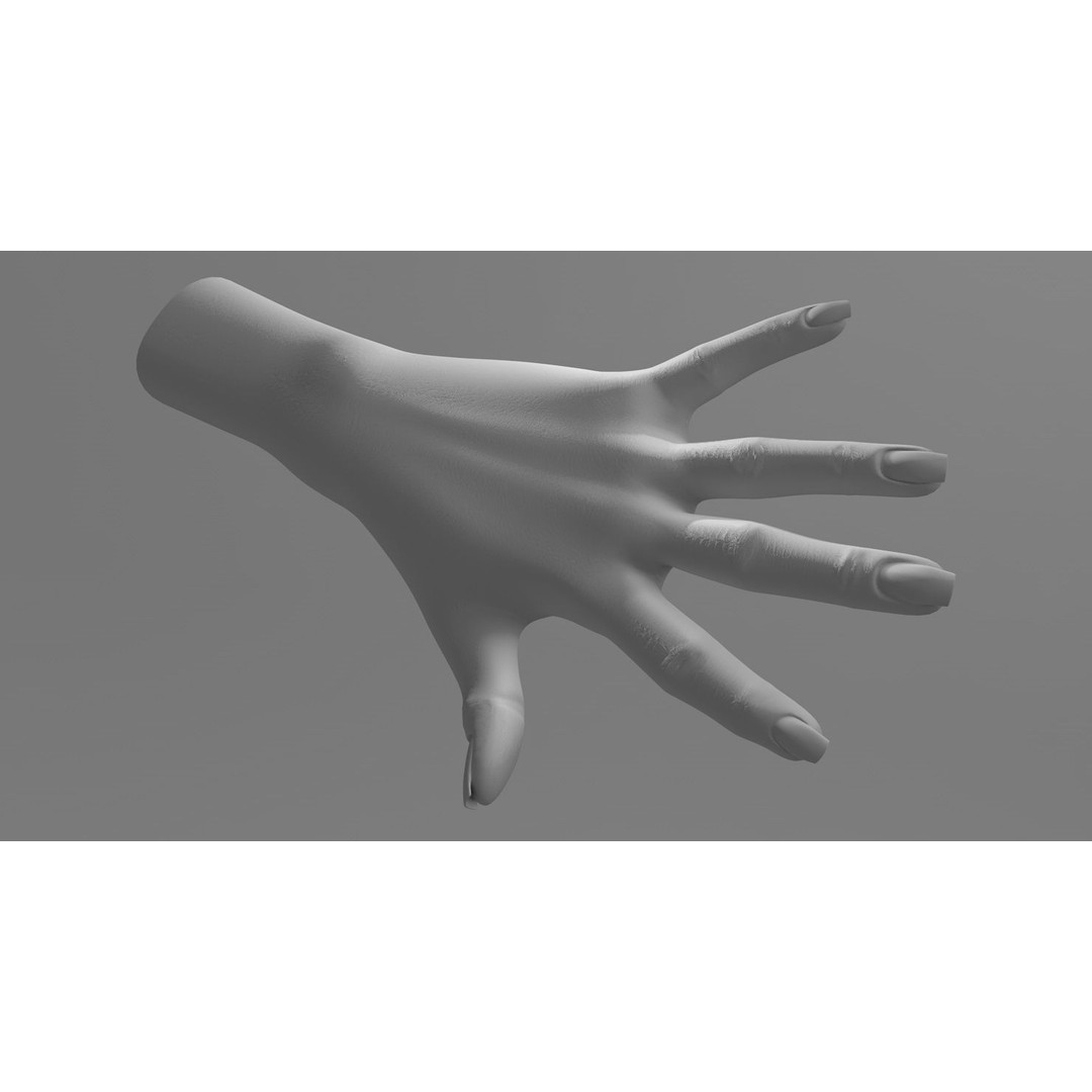 Female Left Hand 3D Model – Low Poly Character Asset, FBX - View 15