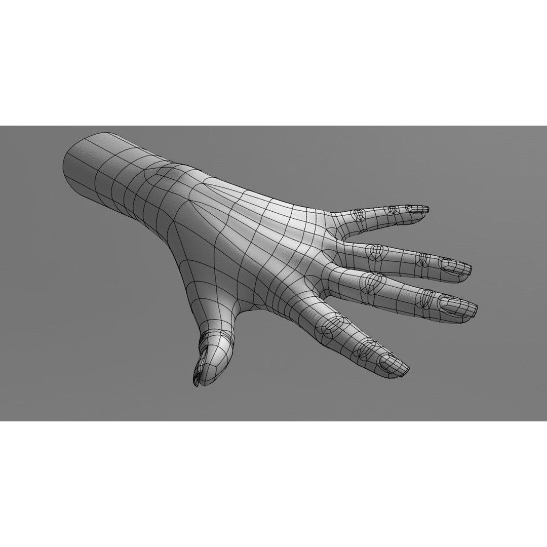 Female Left Hand 3D Model – Low Poly Character Asset, FBX - View 16