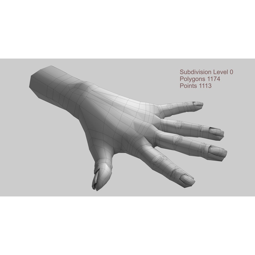 Female Left Hand 3D Model – Low Poly Character Asset, FBX - View 17