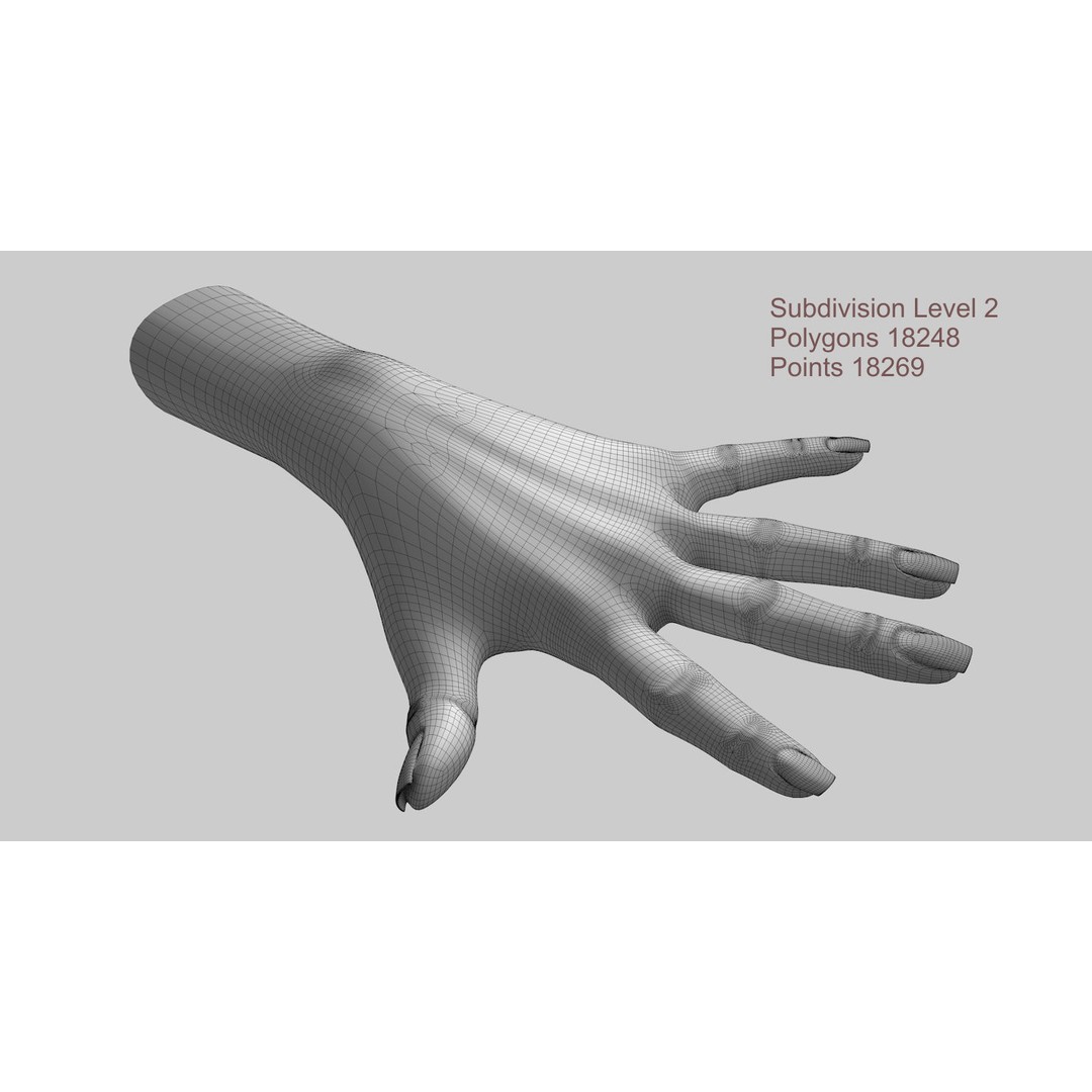 Female Left Hand 3D Model – Low Poly Character Asset, FBX - View 19
