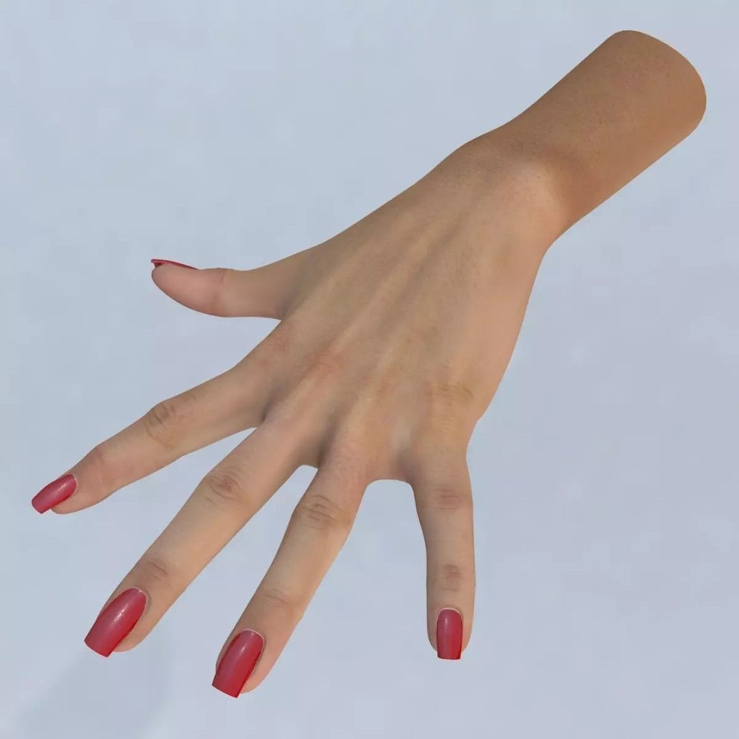 Female Left Hand 3D Model – Low Poly Character Asset, FBX - View 2