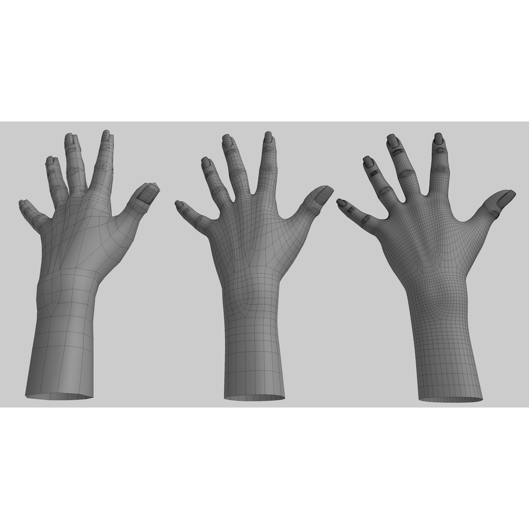 Female Left Hand 3D Model – Low Poly Character Asset, FBX - View 20