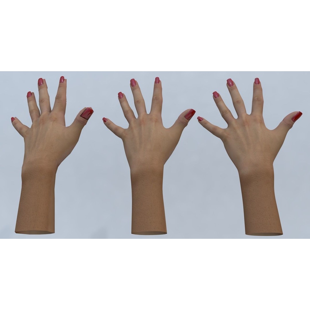 Female Left Hand 3D Model – Low Poly Character Asset, FBX - View 22