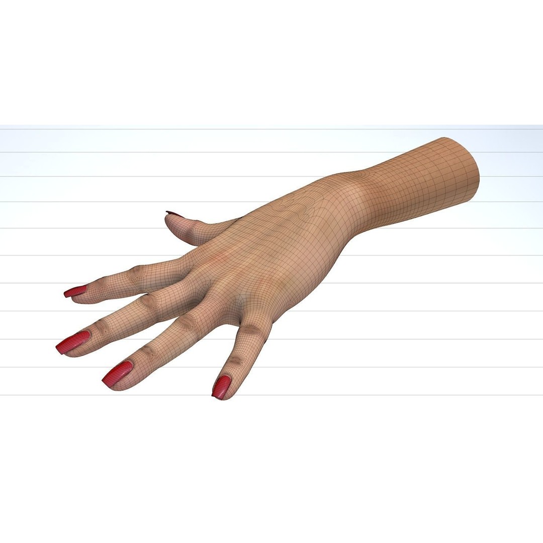 Female Left Hand 3D Model – Low Poly Character Asset, FBX - View 25