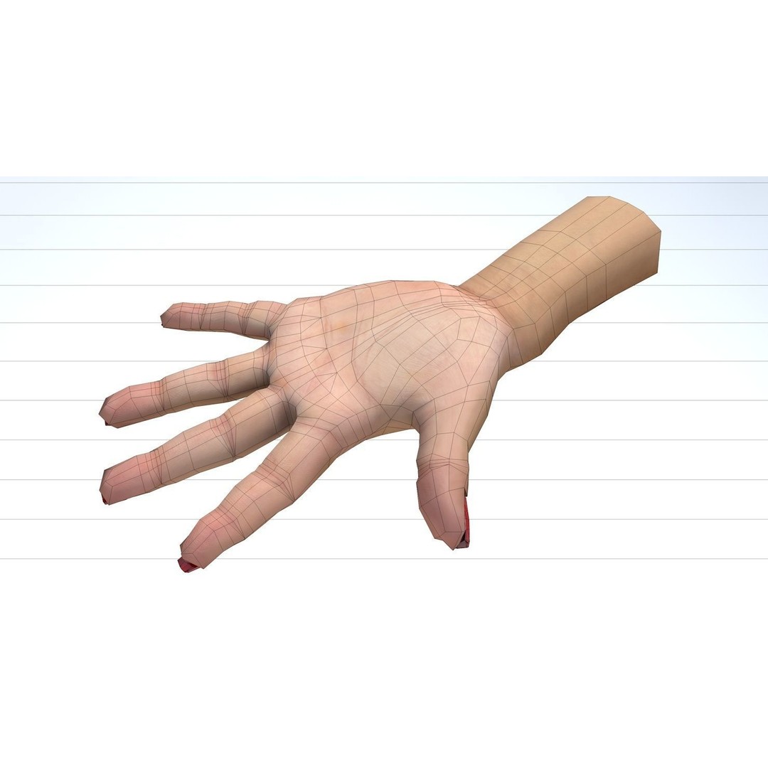 Female Left Hand 3D Model – Low Poly Character Asset, FBX - View 26
