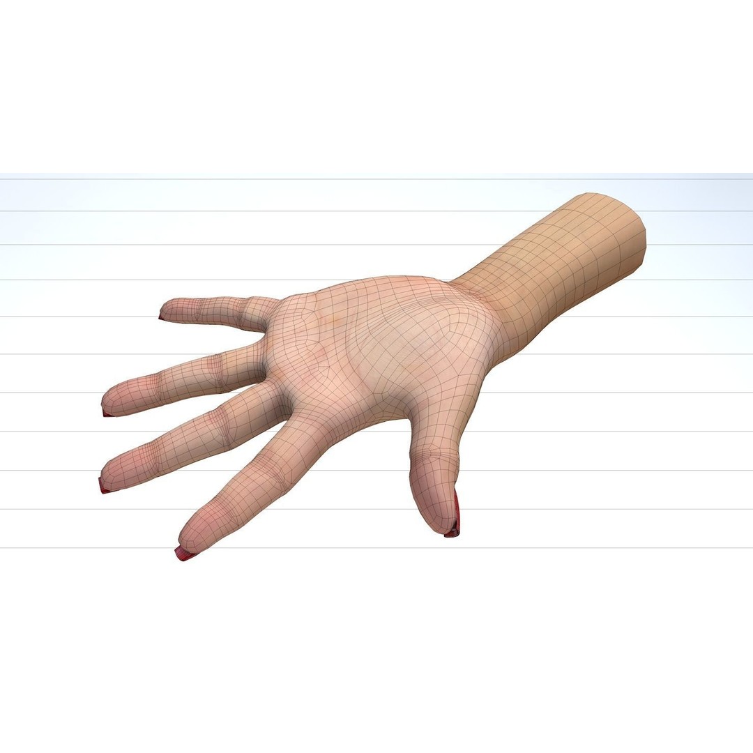 Female Left Hand 3D Model – Low Poly Character Asset, FBX - View 27