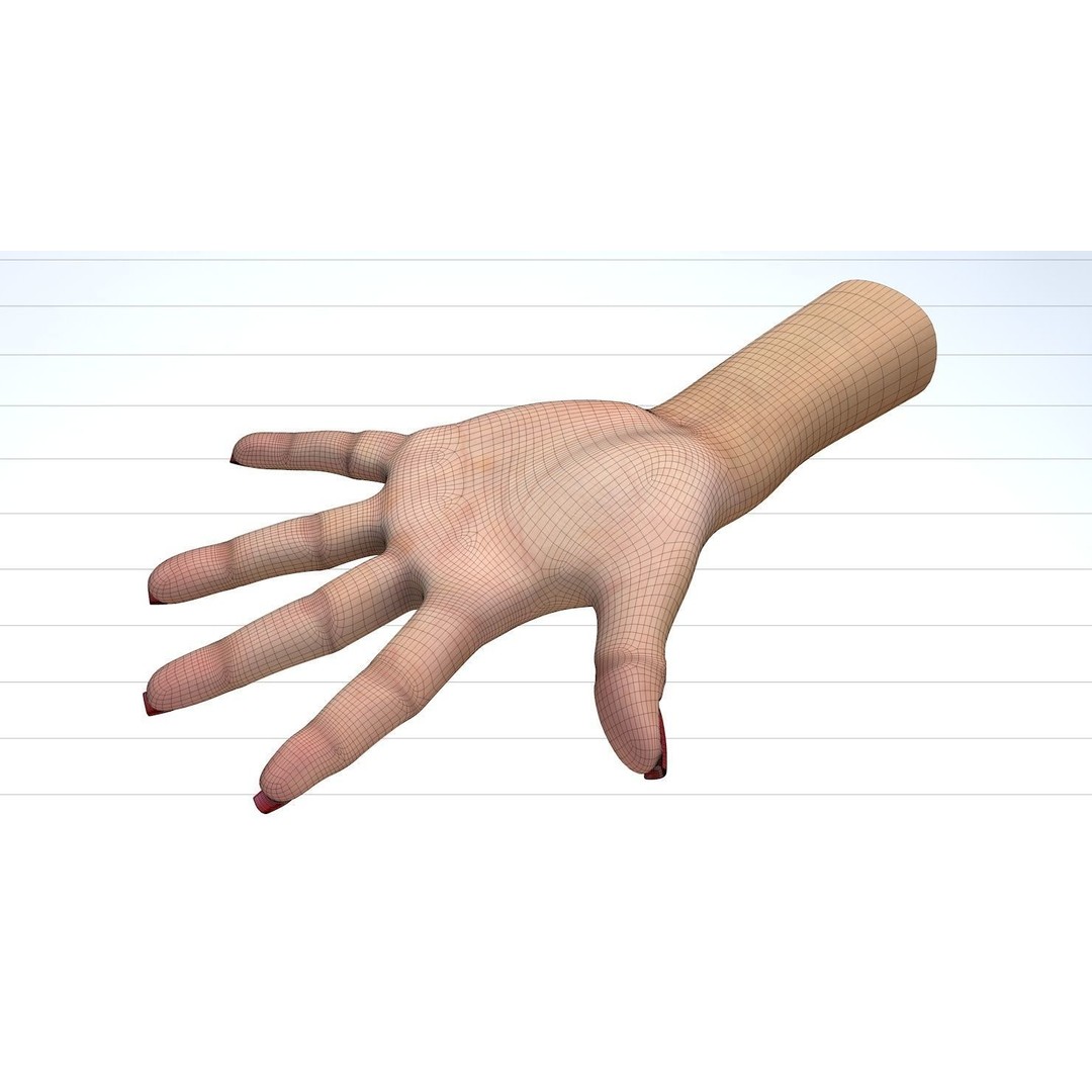 Female Left Hand 3D Model – Low Poly Character Asset, FBX - View 28