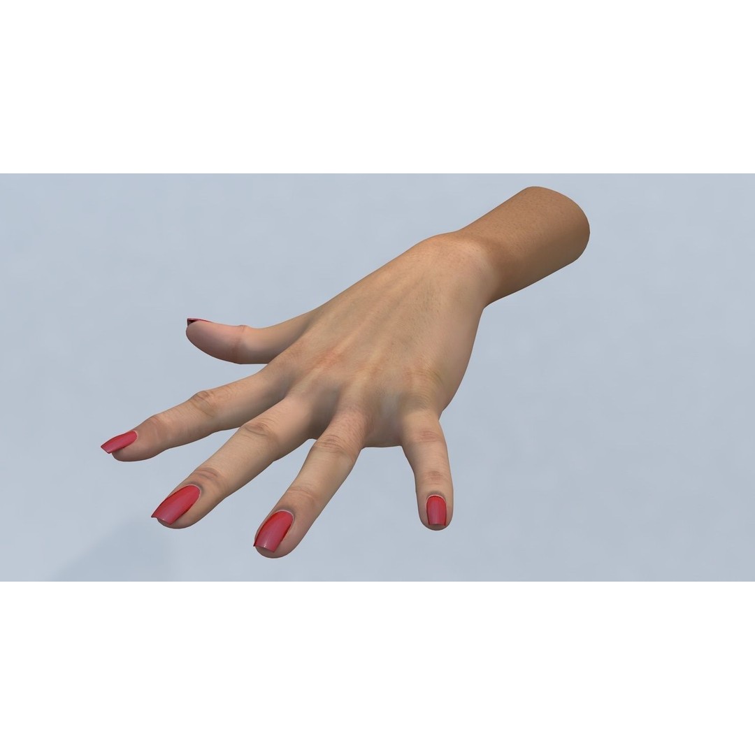 Female Left Hand 3D Model – Low Poly Character Asset, FBX - View 3