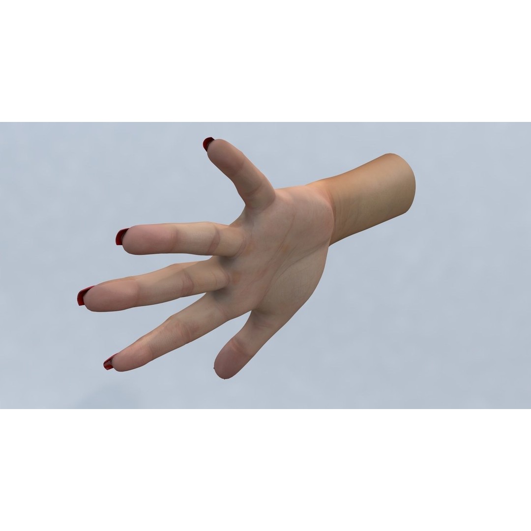 Female Left Hand 3D Model – Low Poly Character Asset, FBX - View 4
