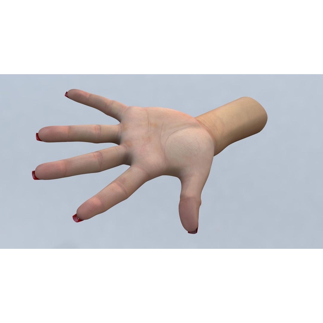 Female Left Hand 3D Model – Low Poly Character Asset, FBX - View 5