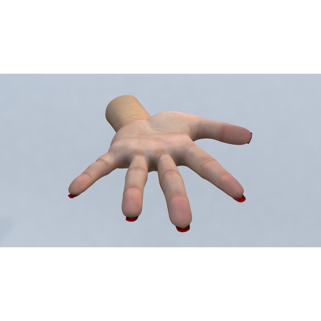 Female Left Hand 3D Model – Low Poly Character Asset, FBX - View 6