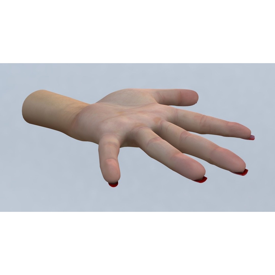 Female Left Hand 3D Model – Low Poly Character Asset, FBX - View 7