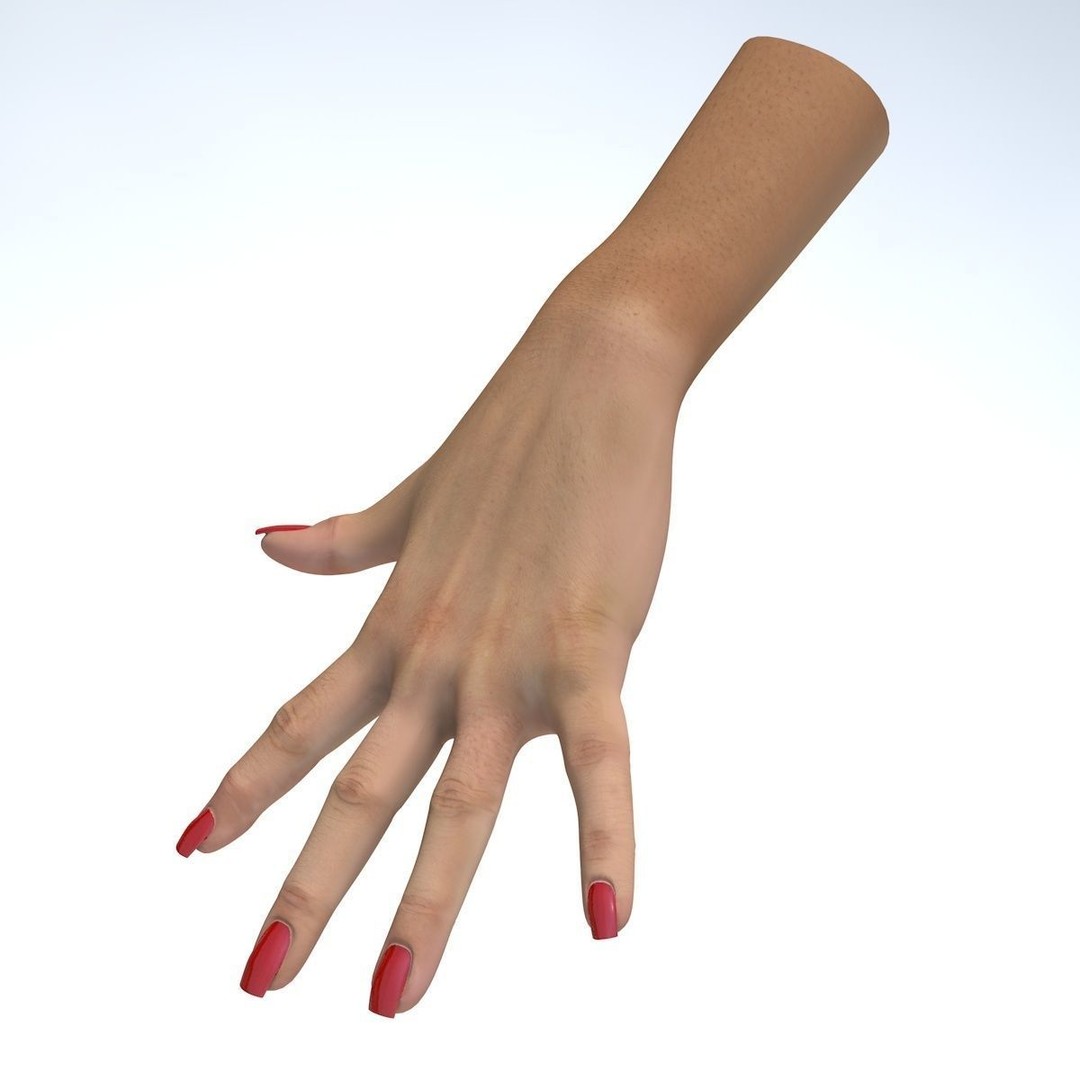 Female Left Hand 3D Model – Low Poly Character Asset, FBX - View 8