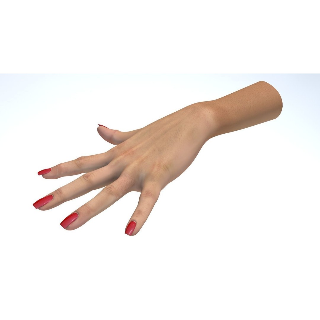 Female Left Hand 3D Model – Low Poly Character Asset, FBX - View 9