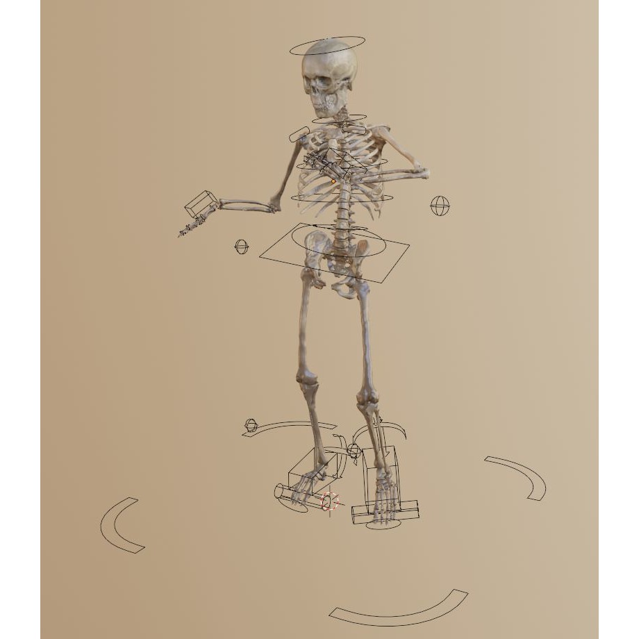 Skeleton 3D Model – Full Rigged Character for Animation, FBX, Blender - View 12