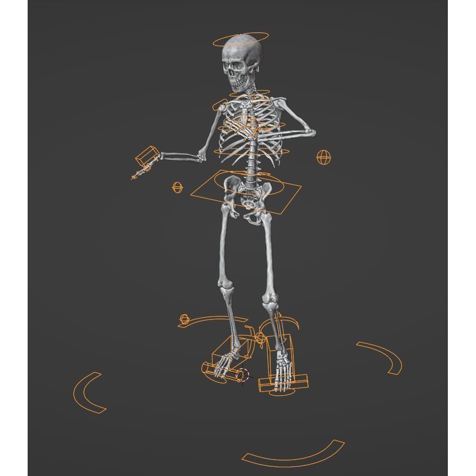 Skeleton 3D Model – Full Rigged Character for Animation, FBX, Blender - View 24