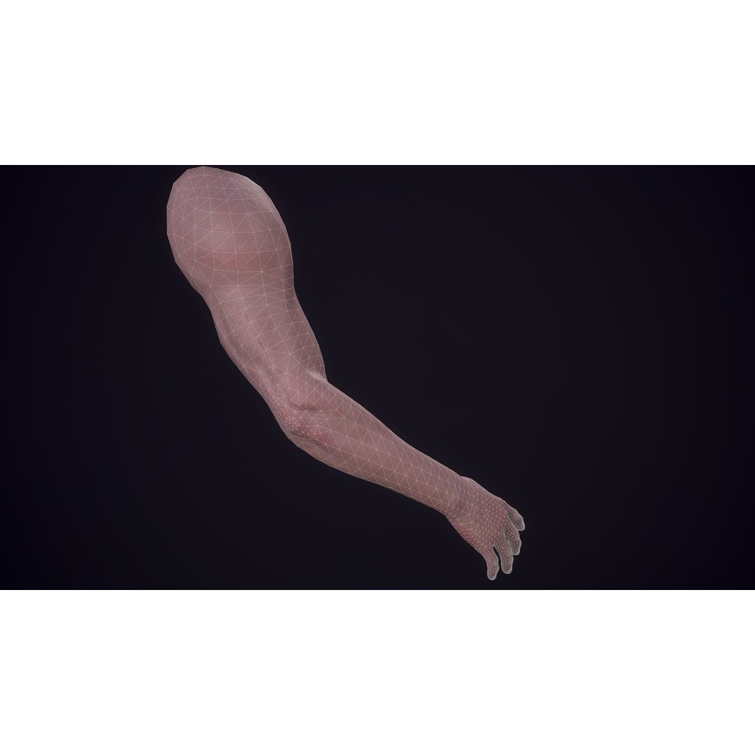 Realistic FPS Arms 3D Model – Low Poly Game Asset, FBX, PBR - View 22