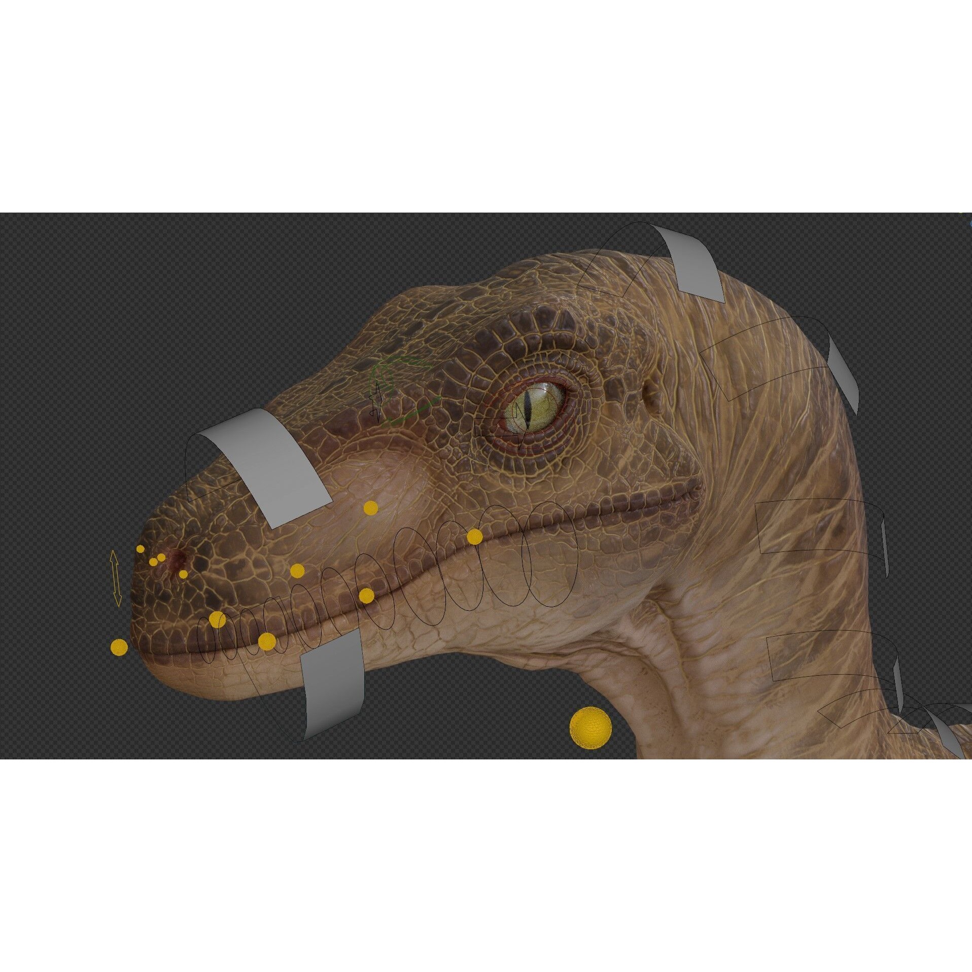 Jurassic Park Velociraptor - Low-Poly Game-Ready 3D Model - View 13